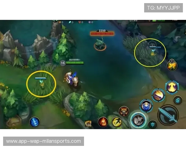 LoL小规模配合训练与视野控制：提升团队默契的秘密武器